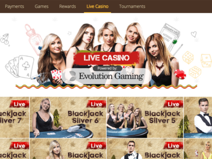 Bob Live Casino