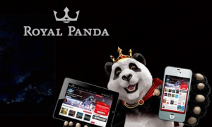 Royal Panda opinie, wypłaty, kod bonusowy
